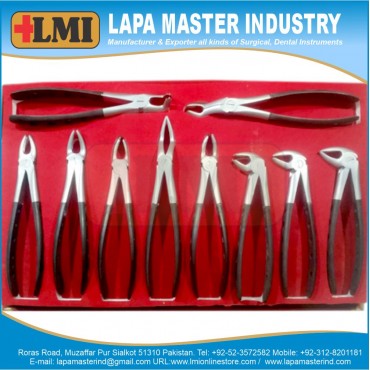 Extraction Forcep English Black Premium Quality