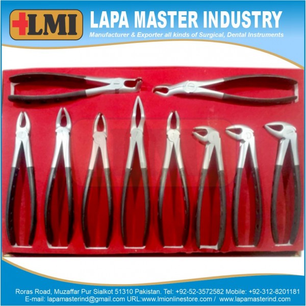 Extraction Forcep English Black Premium Quality