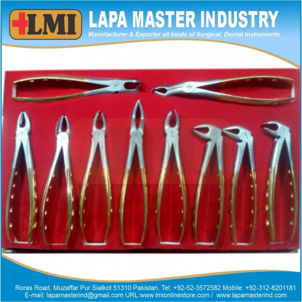 Extraction Forceps English Gold Premium Quality