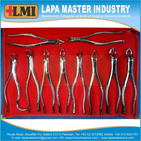 Extracting Forceps American Premium Quality