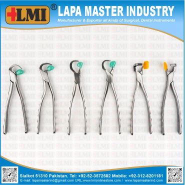 Physics Forceps Set of 6 Pcs Golden, Premium Quality, Dental Instruments,
