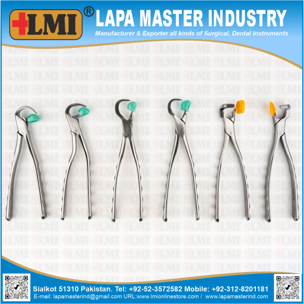 Physics Forceps Set of 6 Pcs Golden, Premium Quality, Dental Instruments,