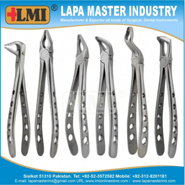 Apical Forceps Universal Set of 6 Pcs Premium Quality