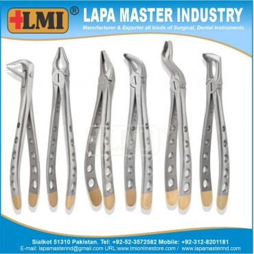 Apical Forceps Universal Golden, Set of 6 Pcs Premium Quality