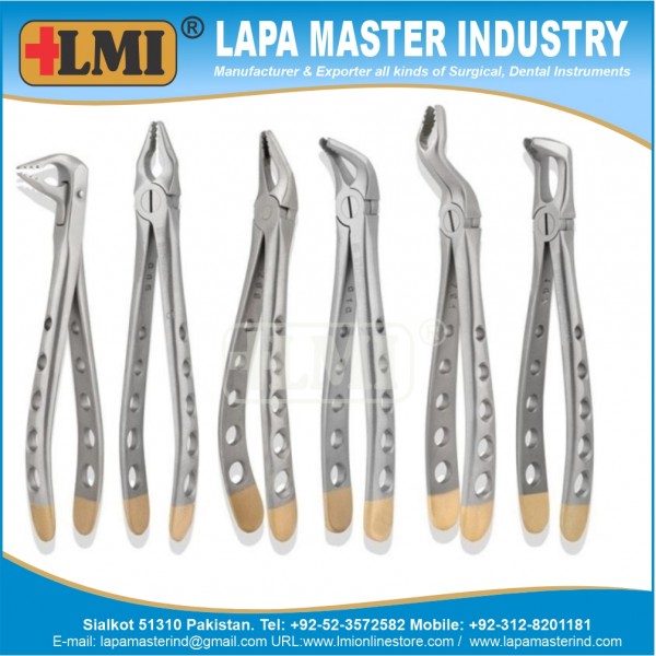 Apical Forceps Universal Golden, Set of 6 Pcs Premium Quality